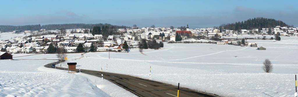 Hotel-Gasthof Zum Oberen Wirt Regen Exteriör bild